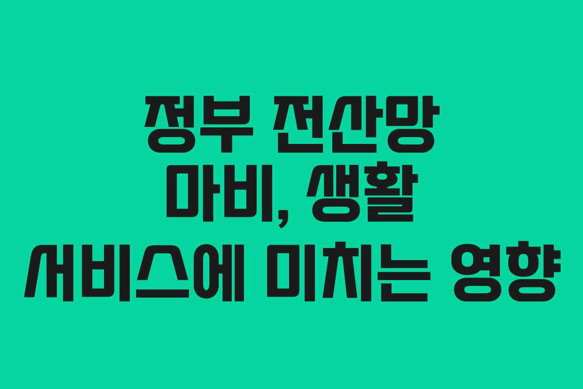정부 전산망 마비, 생활 서비스에 미치는 영향 정부 전산망 마비, 생활 서비스에 미치는 영향