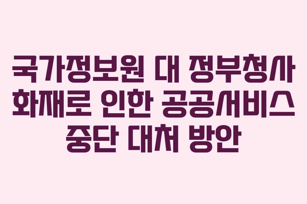 국가정보원 대 정부청사 화재로 인한 공공서비스 중단 대처 방안