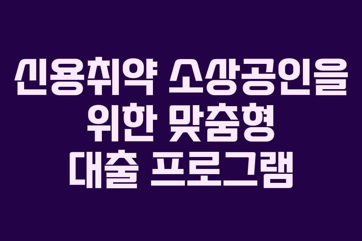 신용취약 소상공인을 위한 맞춤형 대출 프로그램