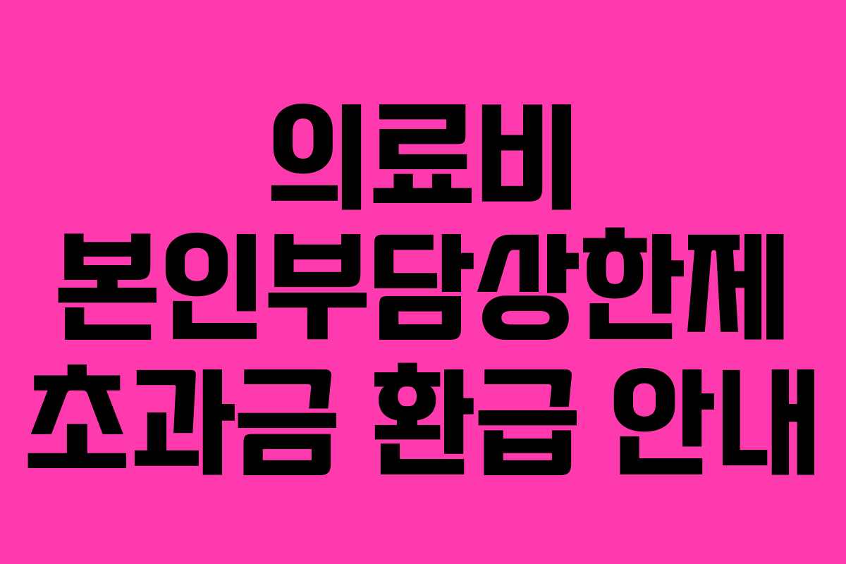 의료비 본인부담상한제 초과금 환급 안내