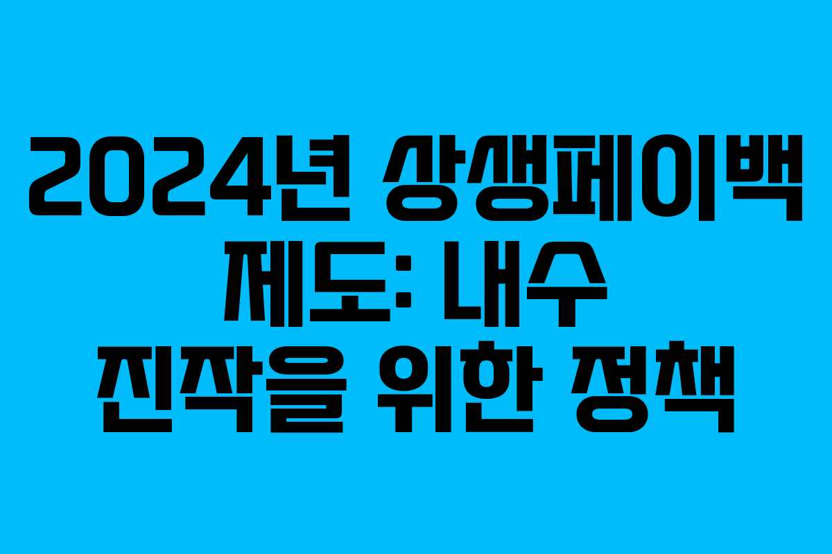 2024년 상생페이백 제도: 내수 진작을 위한 정책