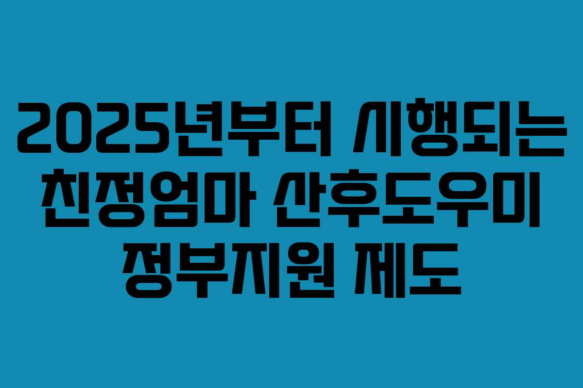 2025년부터 시행되는 친정엄마 산후도우미 정부지원 제도