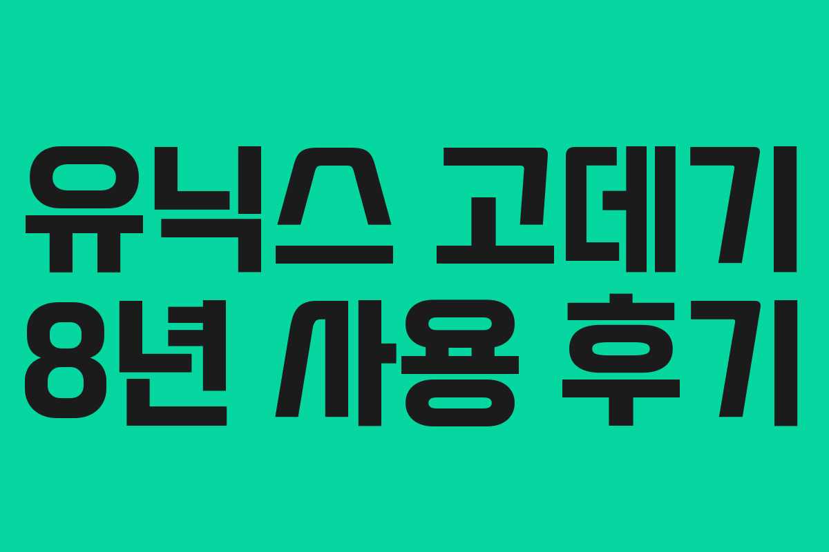 유닉스 고데기 8년 사용 후기