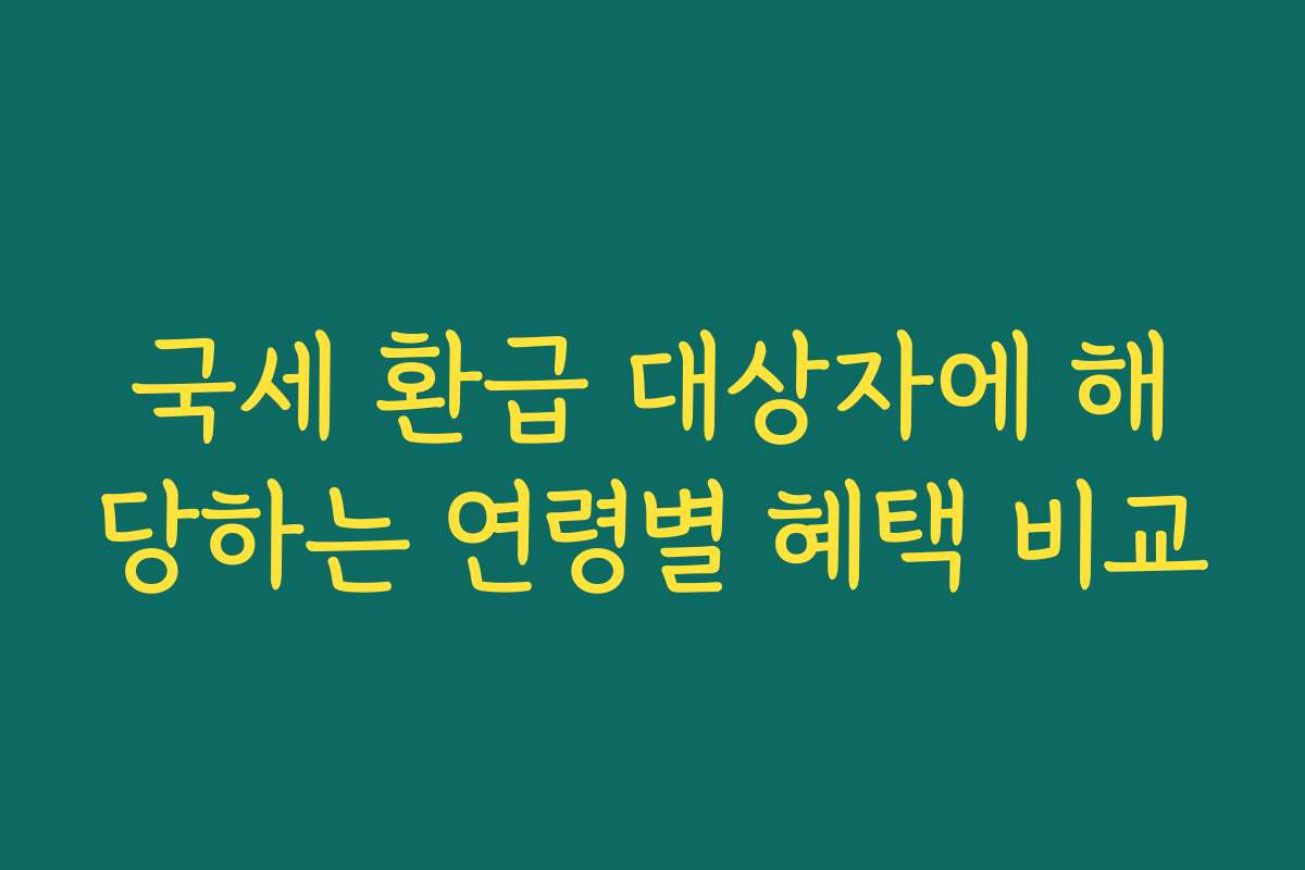 국세 환급 대상자에 해당하는 연령별 혜택 비교