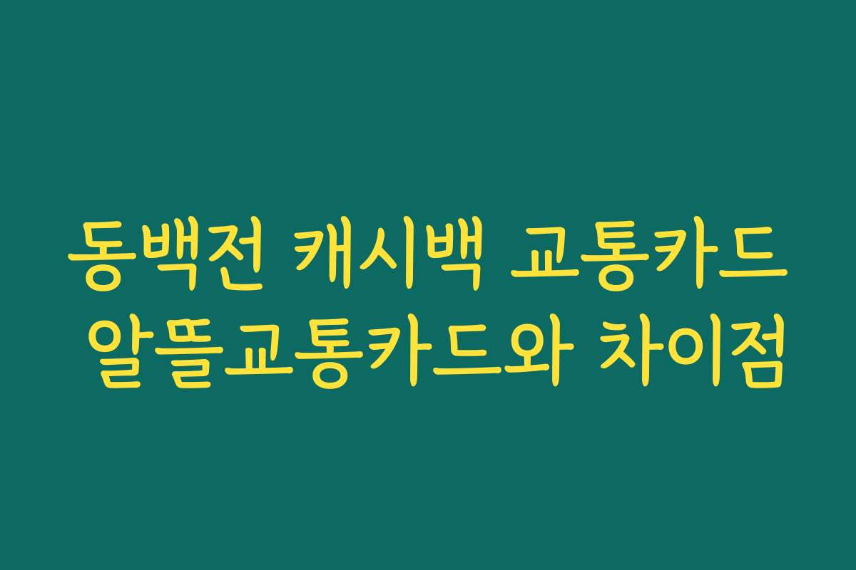 동백전 캐시백 교통카드 알뜰교통카드와 차이점