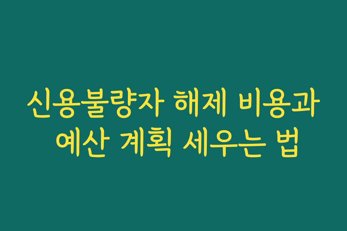 신용불량자 해제 비용과 예산 계획 세우는 법