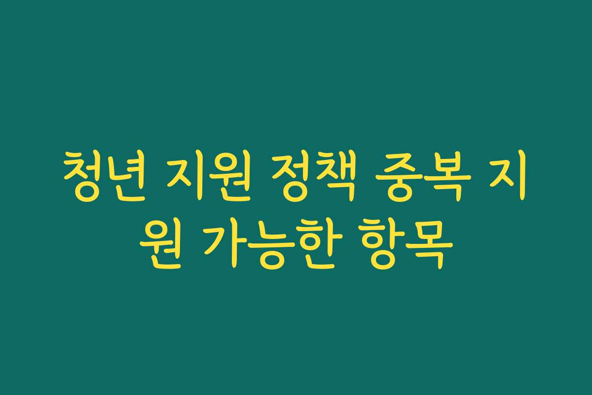 청년 지원 정책 중복 지원 가능한 항목
