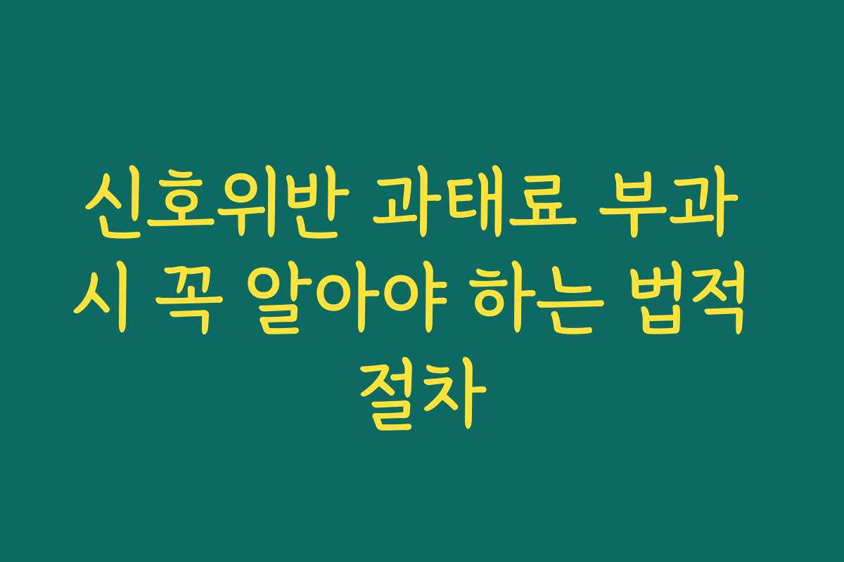 신호위반 과태료 부과 시 꼭 알아야 하는 법적 절차