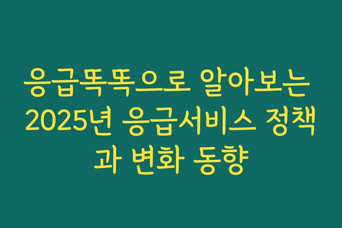 응급똑똑으로 알아보는 2025년 응급서비스 정책과 변화 동향 응급똑똑으로 알아보는 2025년 응급서비스 정책과 변화 동향
