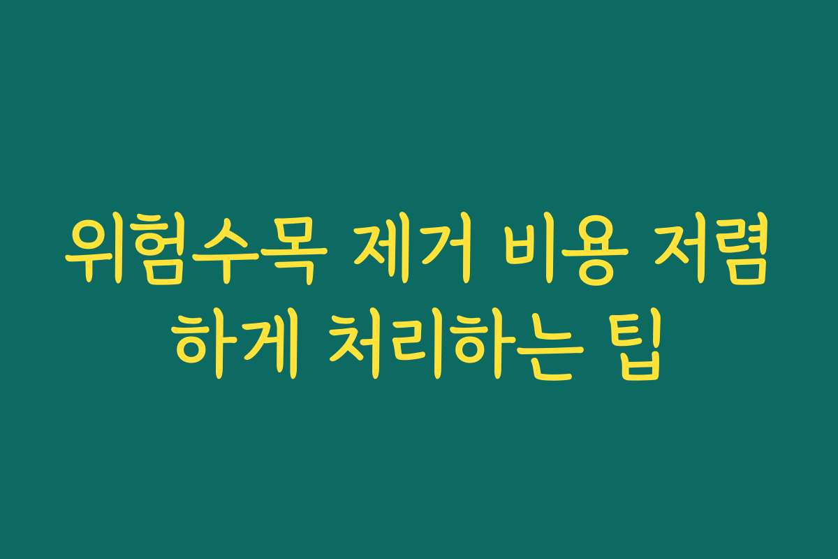 위험수목 제거 비용 저렴하게 처리하는 팁