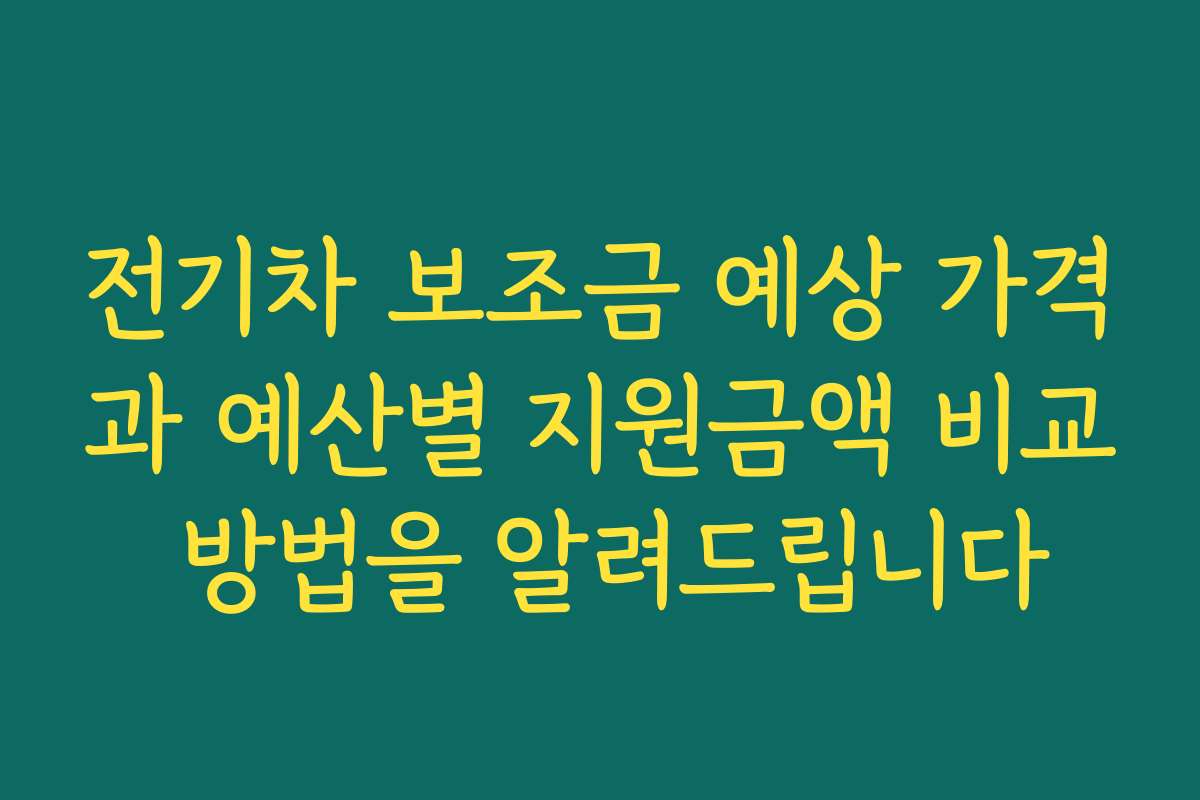 전기차 보조금 예상 가격과 예산별 지원금액 비교 방법을 알려드립니다