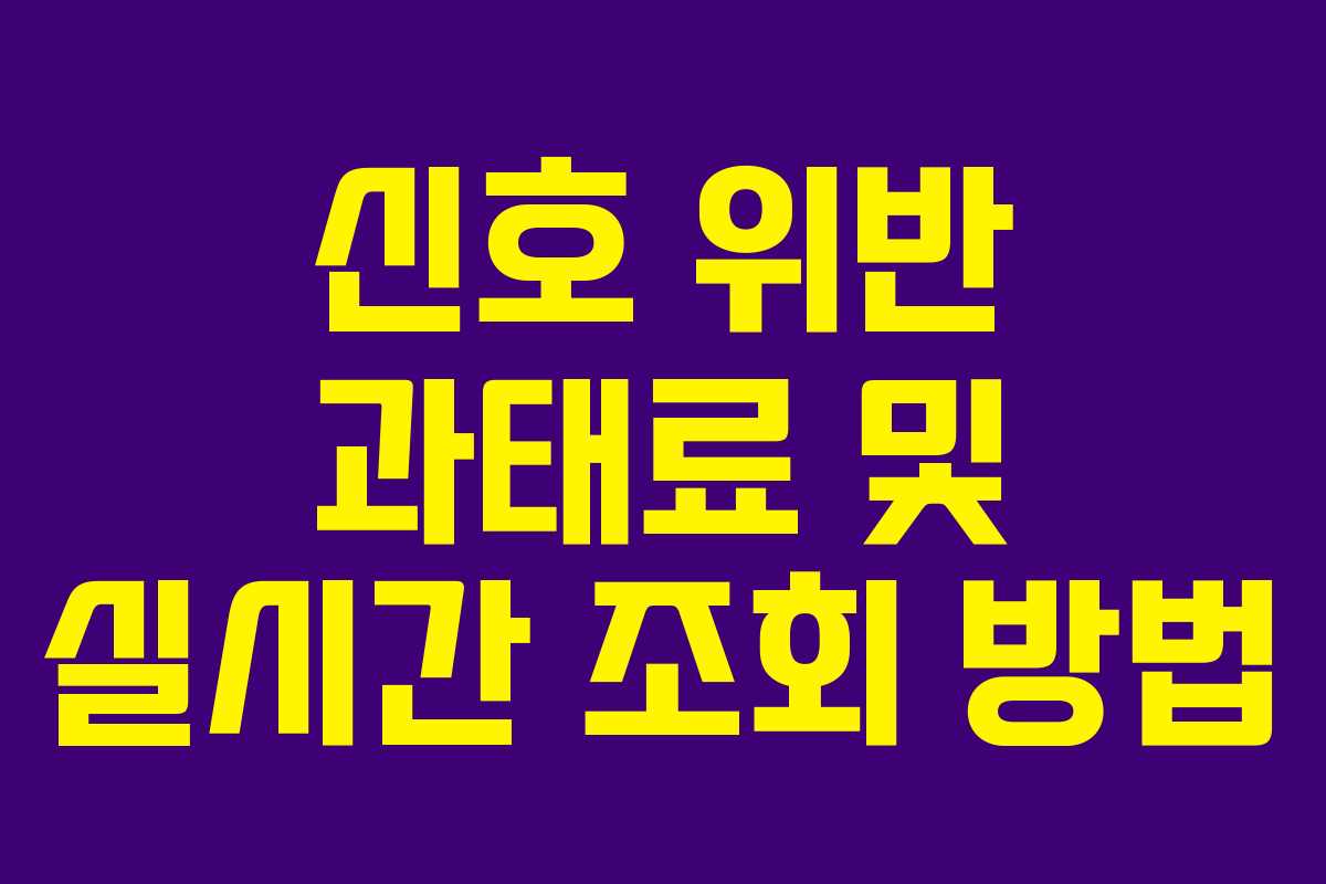 신호 위반 과태료 및 실시간 조회 방법