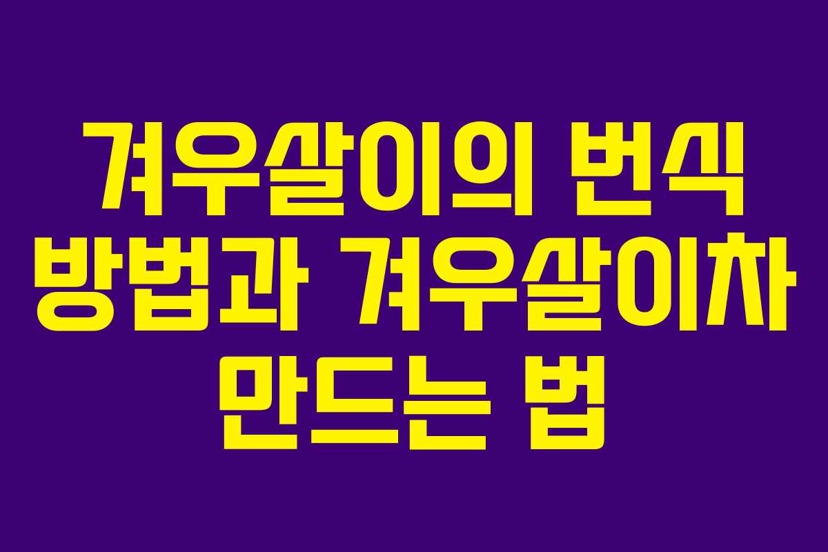 겨우살이의 번식 방법과 겨우살이차 만드는 법