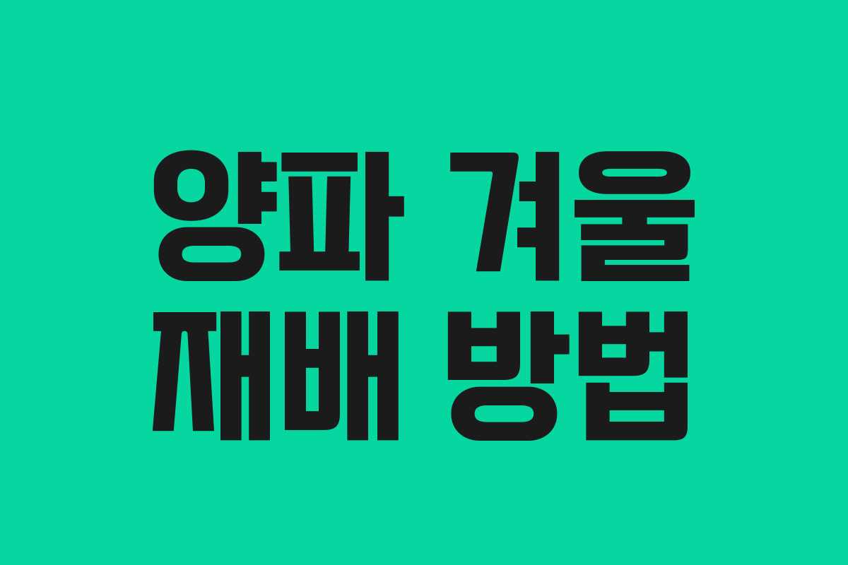 양파 겨울 재배 방법