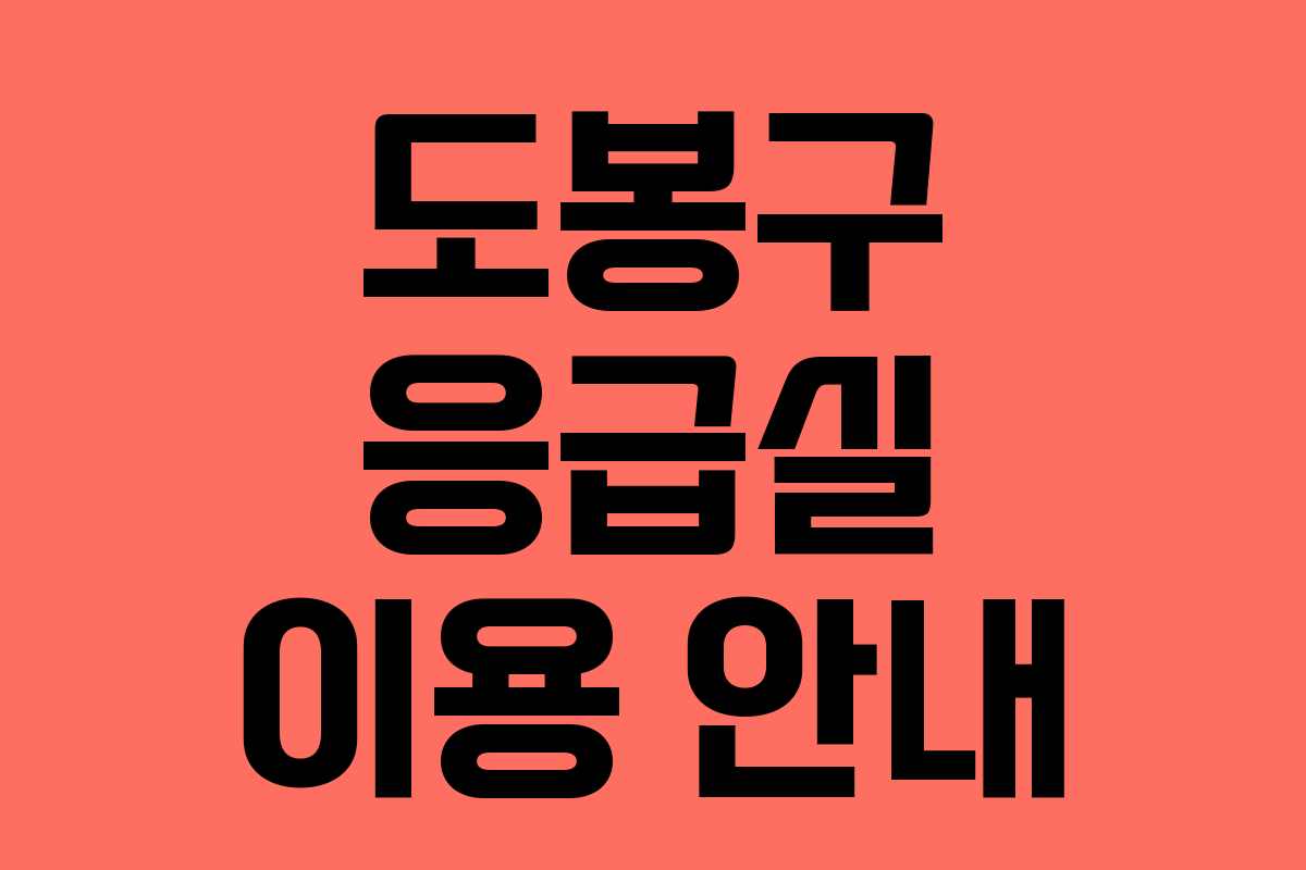 도봉구 응급실 이용 안내 도봉구 응급실 이용 안내