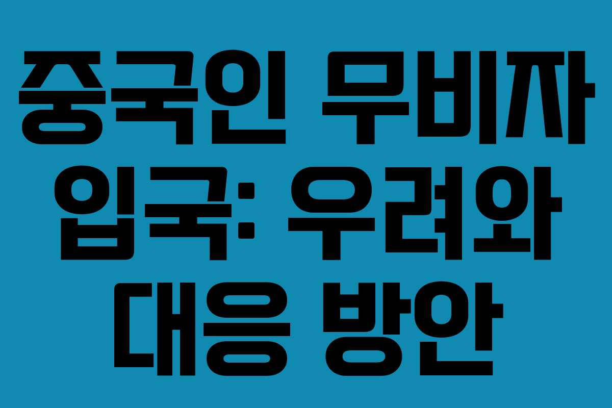 중국인 무비자 입국: 우려와 대응 방안 중국인 무비자 입국: 우려와 대응 방안