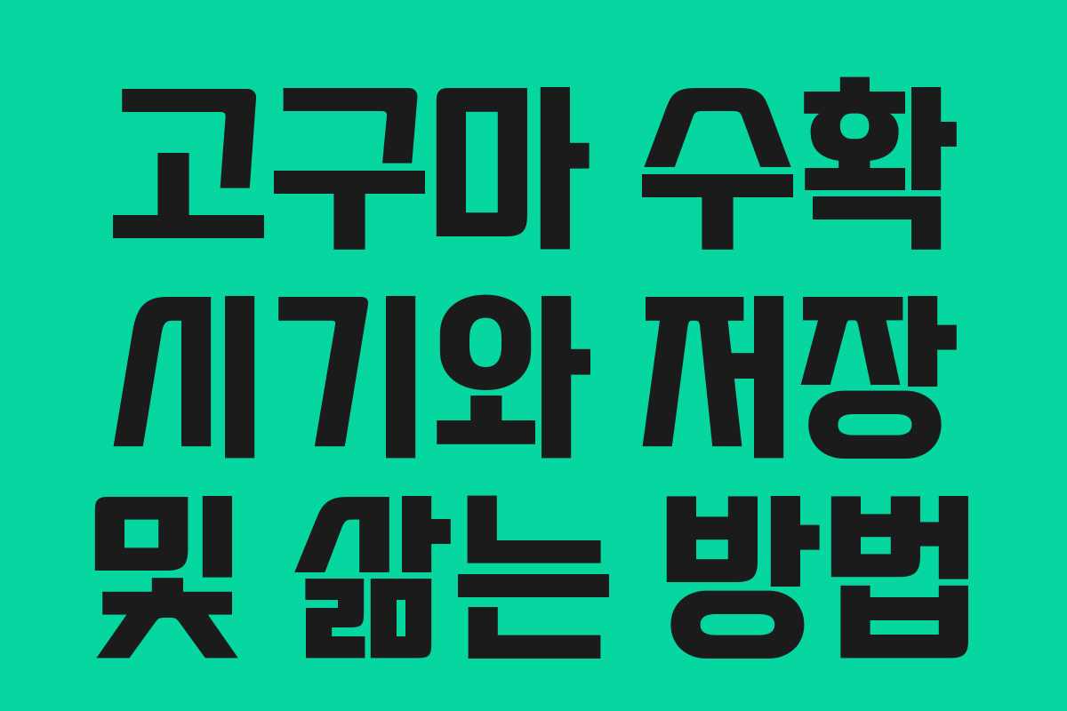 고구마 수확 시기와 저장 및 삶는 방법