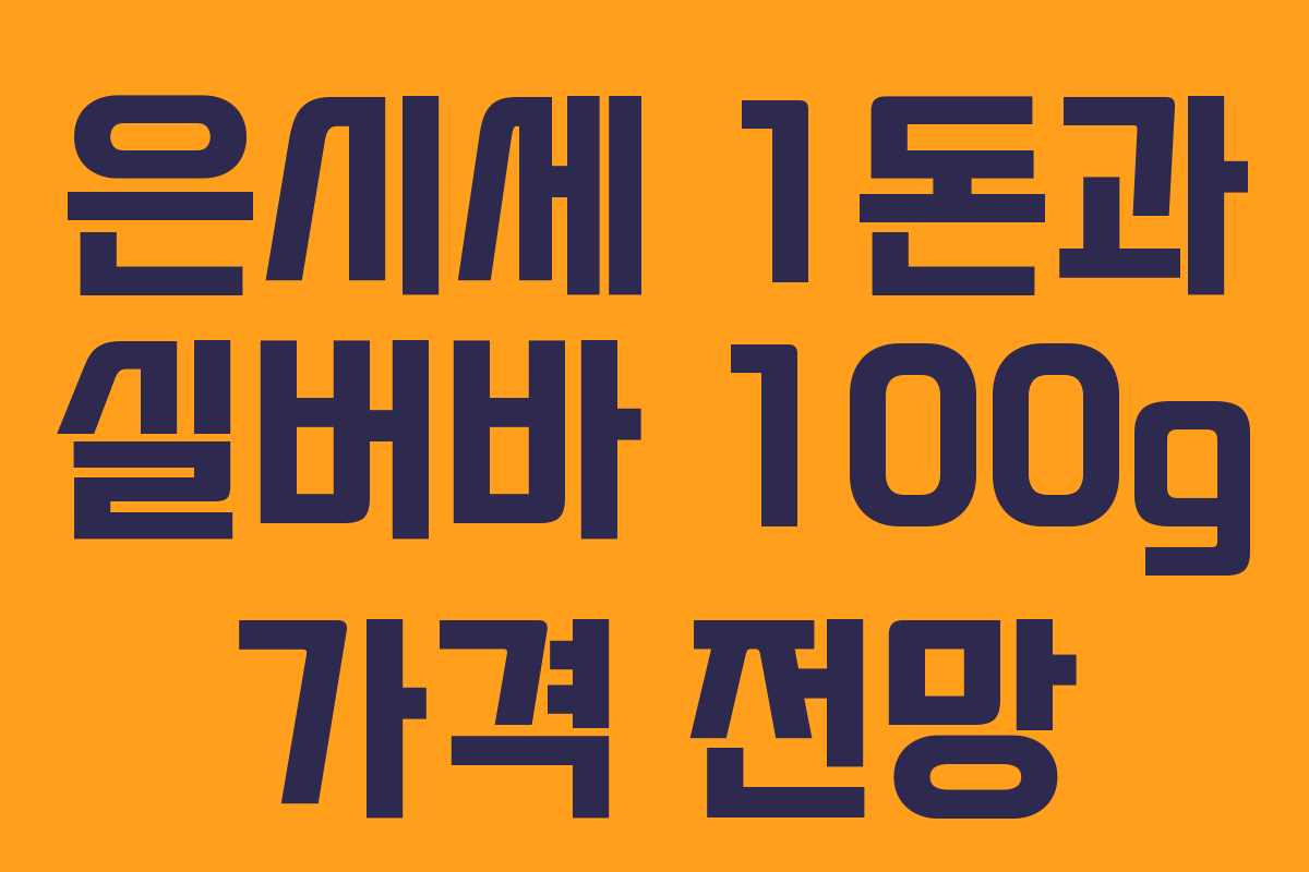 은시세 1돈과 실버바 100g 가격 전망