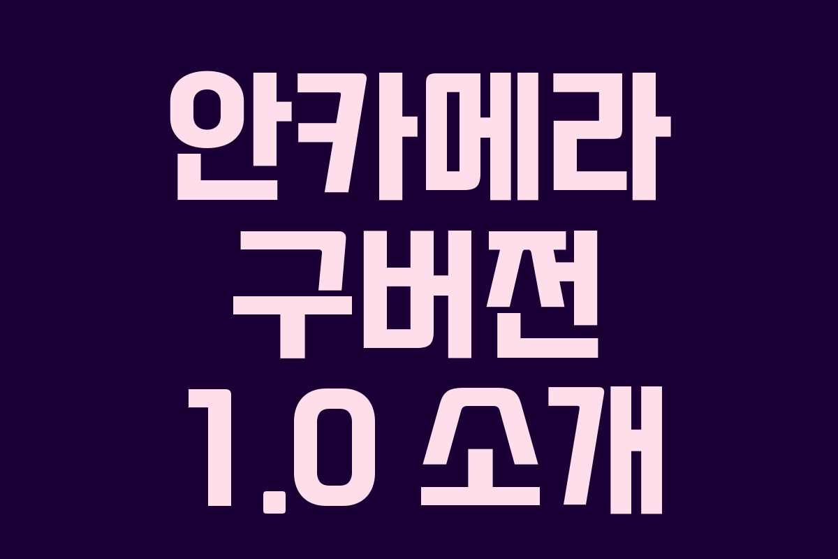 안카메라 구버전 1.0 소개