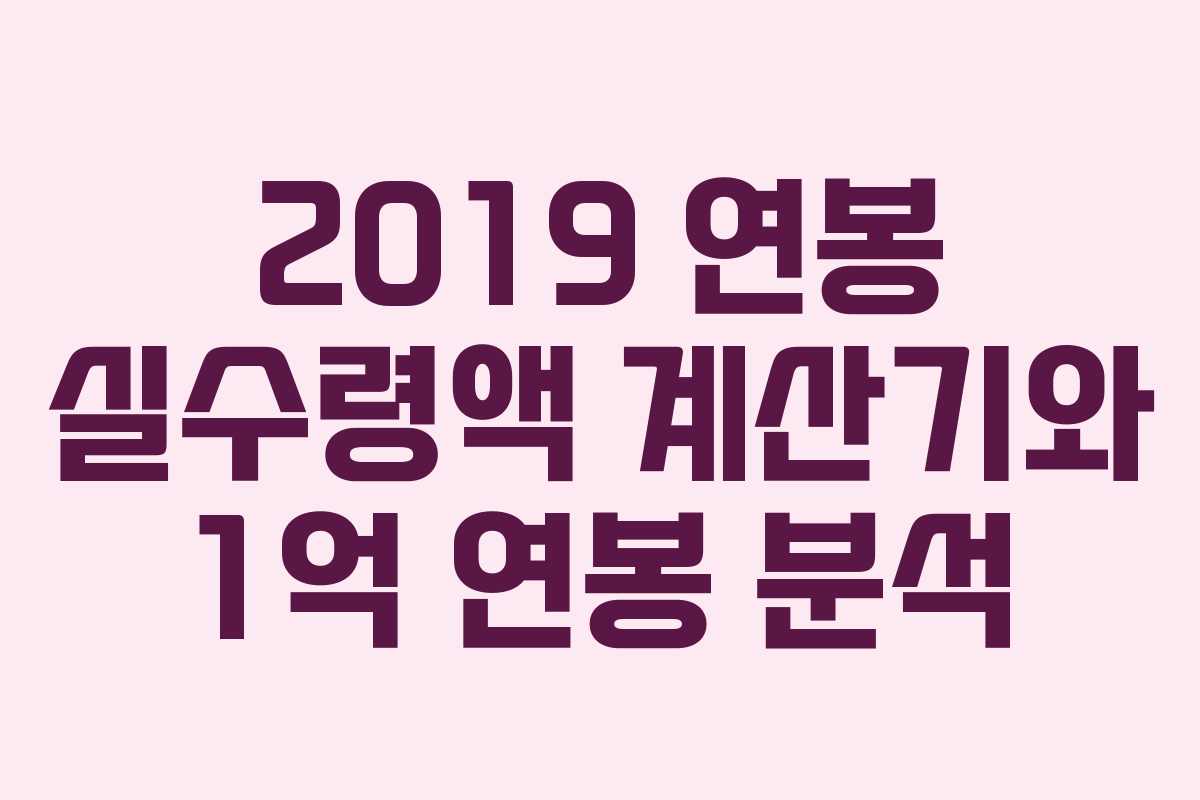 2019 연봉 실수령액 계산기와 1억 연봉 분석