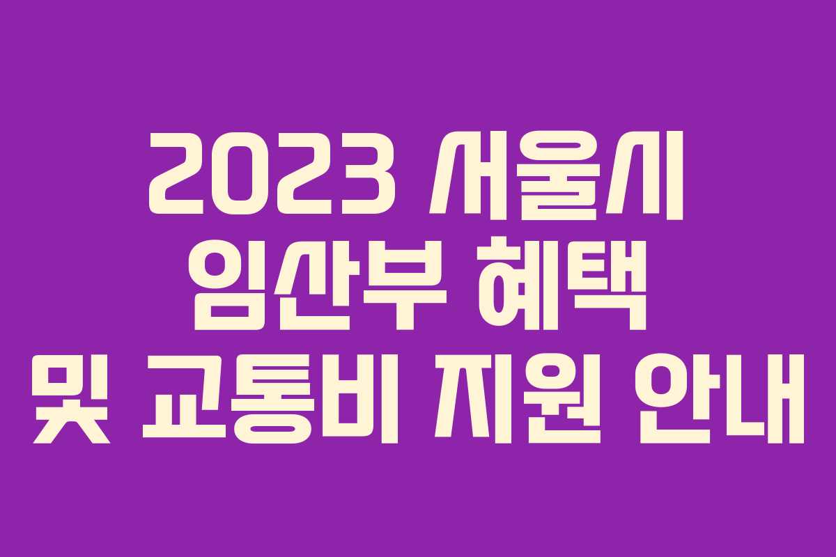 2023 서울시 임산부 혜택 및 교통비 지원 안내