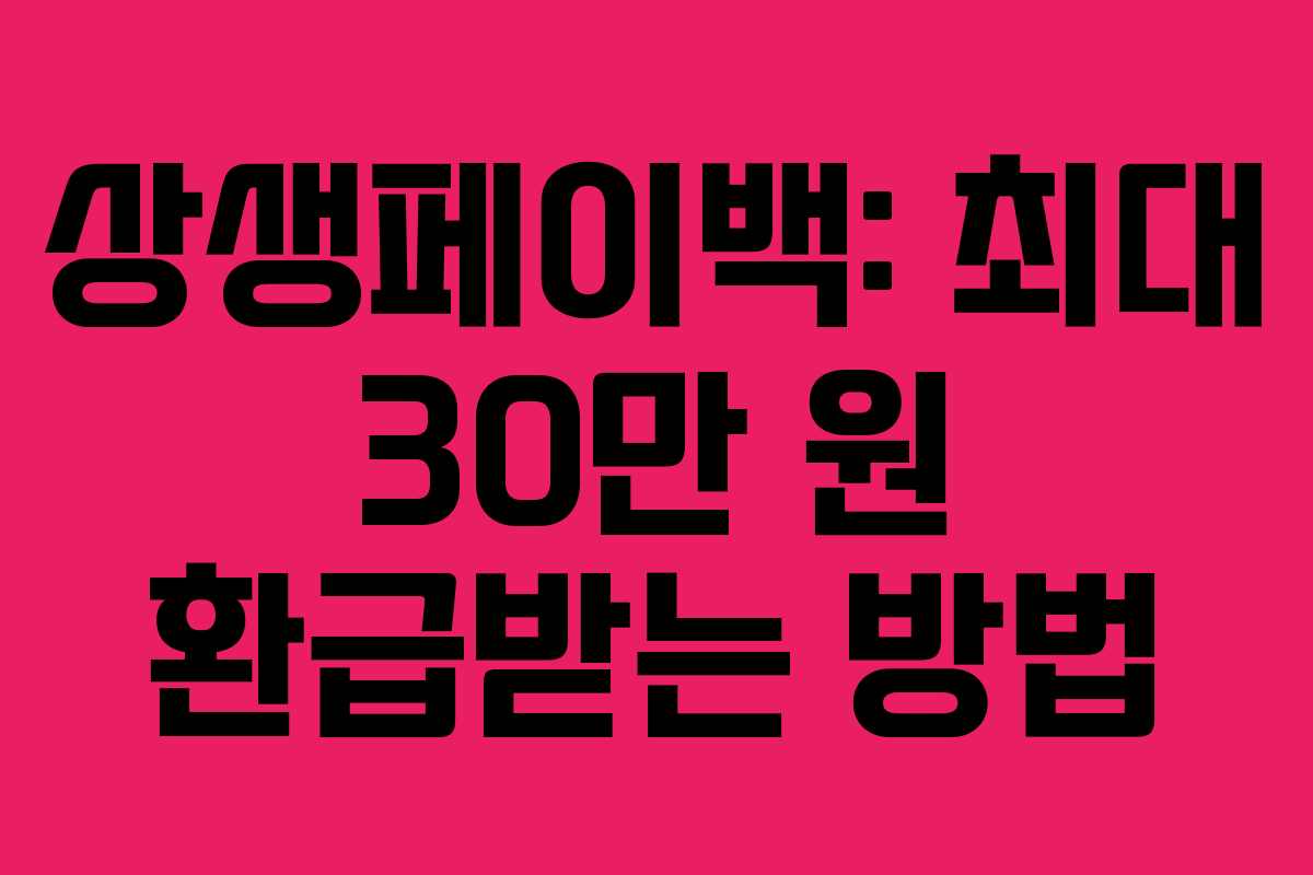 상생페이백: 최대 30만 원 환급받는 방법