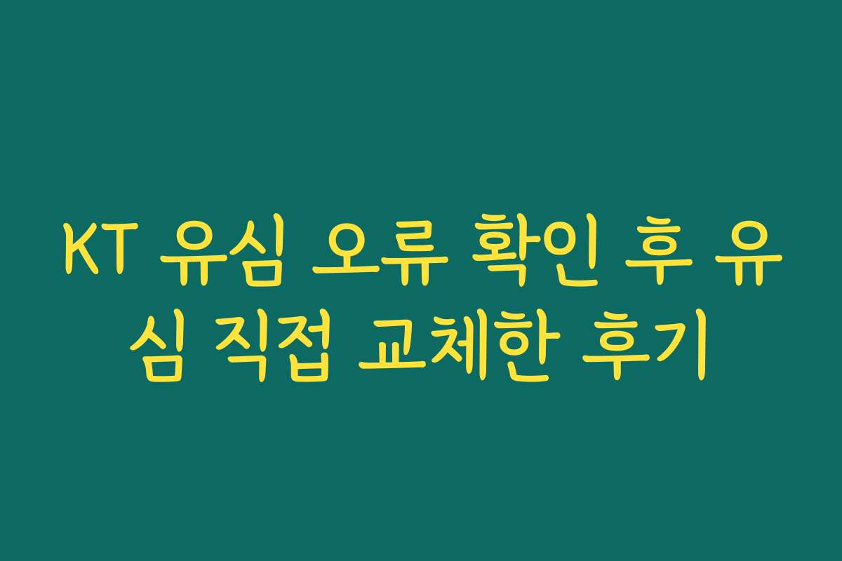 KT 유심 오류 확인 후 유심 직접 교체한 후기