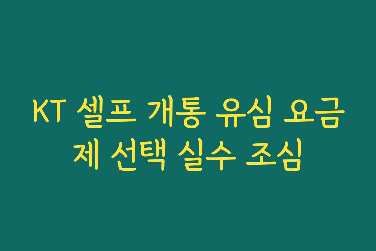 KT 셀프 개통 유심 요금제 선택 실수 조심