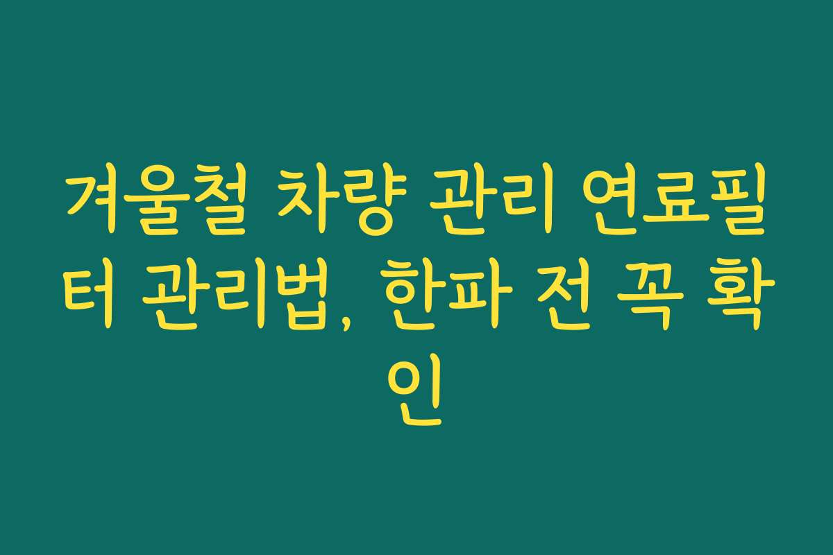겨울철 차량 관리 연료필터 관리법, 한파 전 꼭 확인