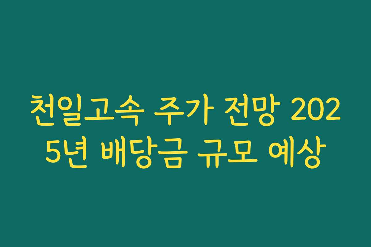 천일고속 주가 전망 2025년 배당금 규모 예상