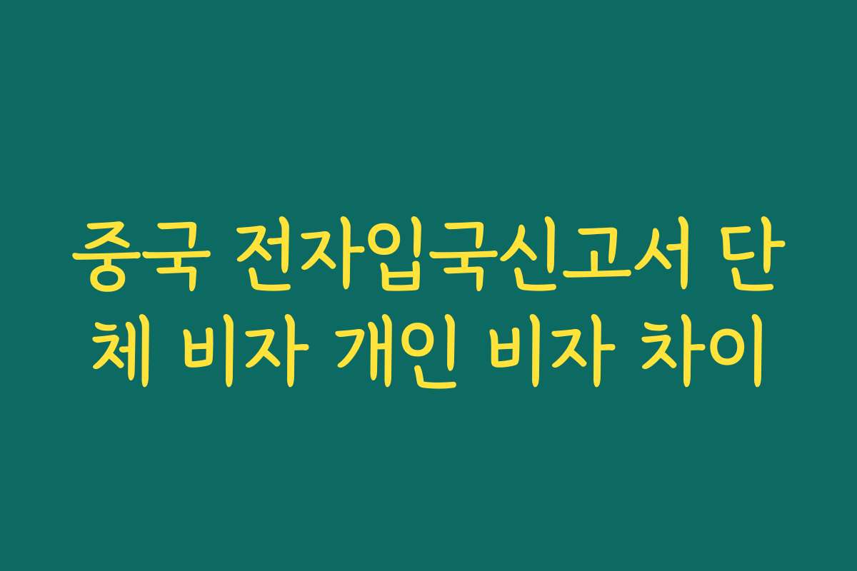 중국 전자입국신고서 단체 비자 개인 비자 차이