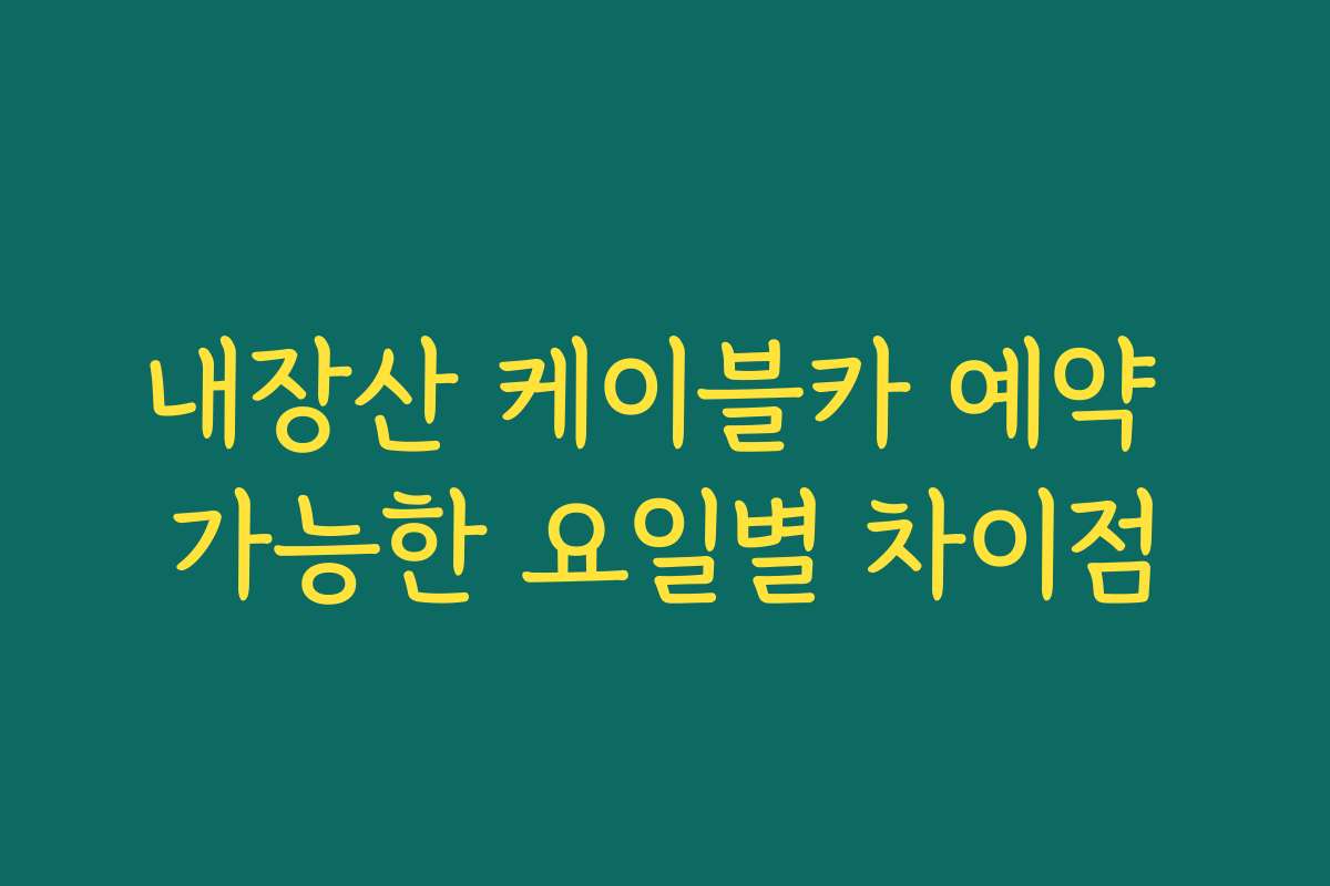 내장산 케이블카 예약 가능한 요일별 차이점