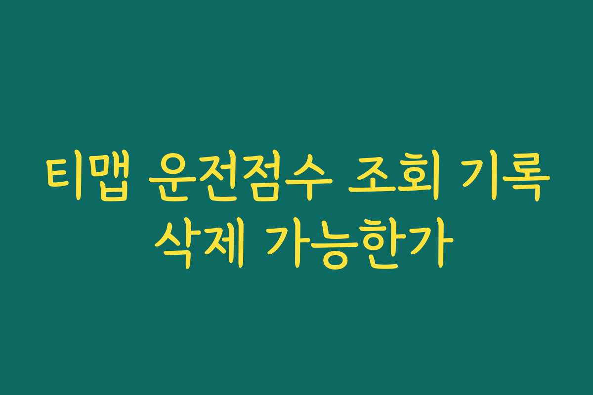티맵 운전점수 조회 기록 삭제 가능한가