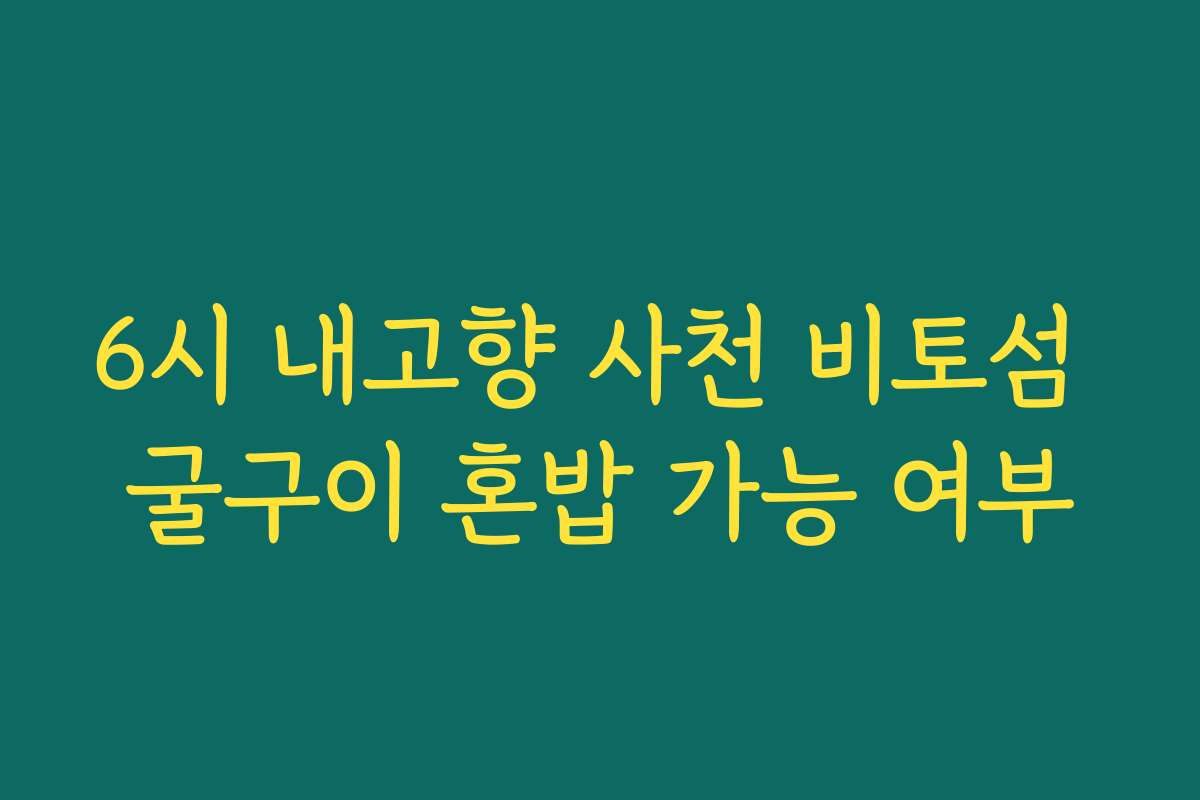 6시 내고향 사천 비토섬 굴구이 혼밥 가능 여부