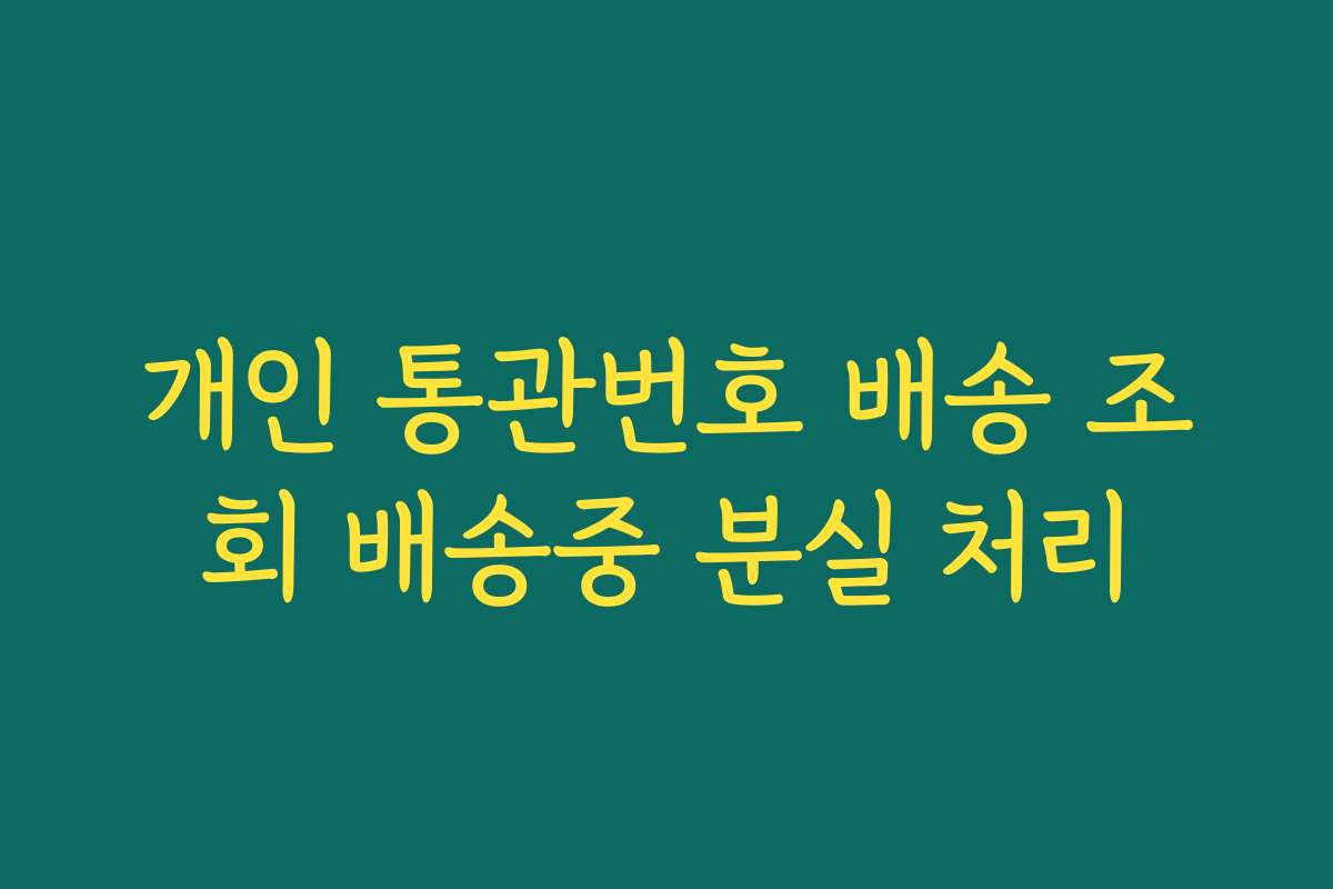 개인 통관번호 배송 조회 배송중 분실 처리