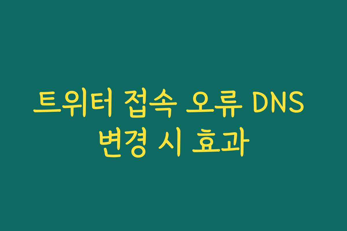 트위터 접속 오류 DNS 변경 시 효과