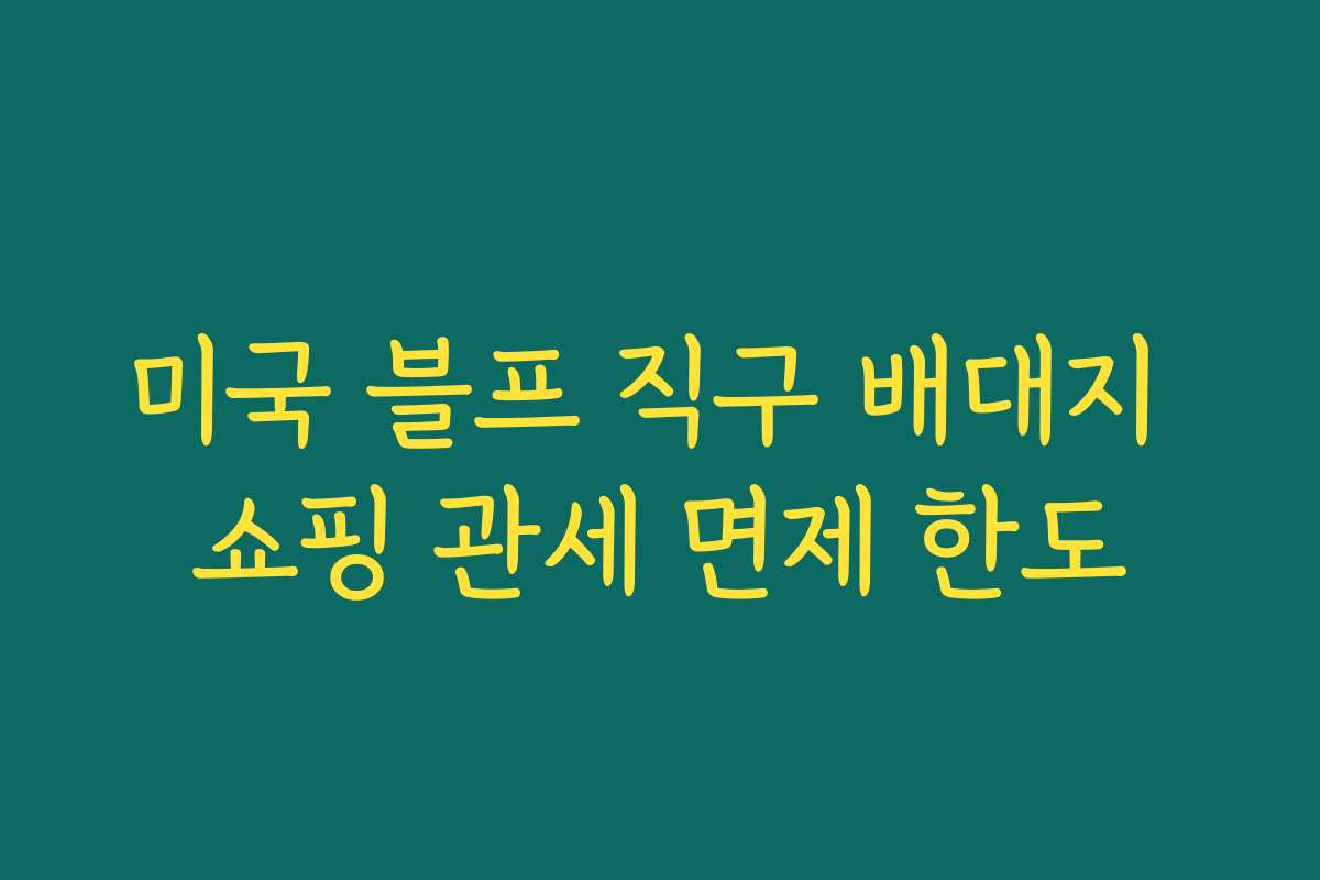 미국 블프 직구 배대지 쇼핑 관세 면제 한도