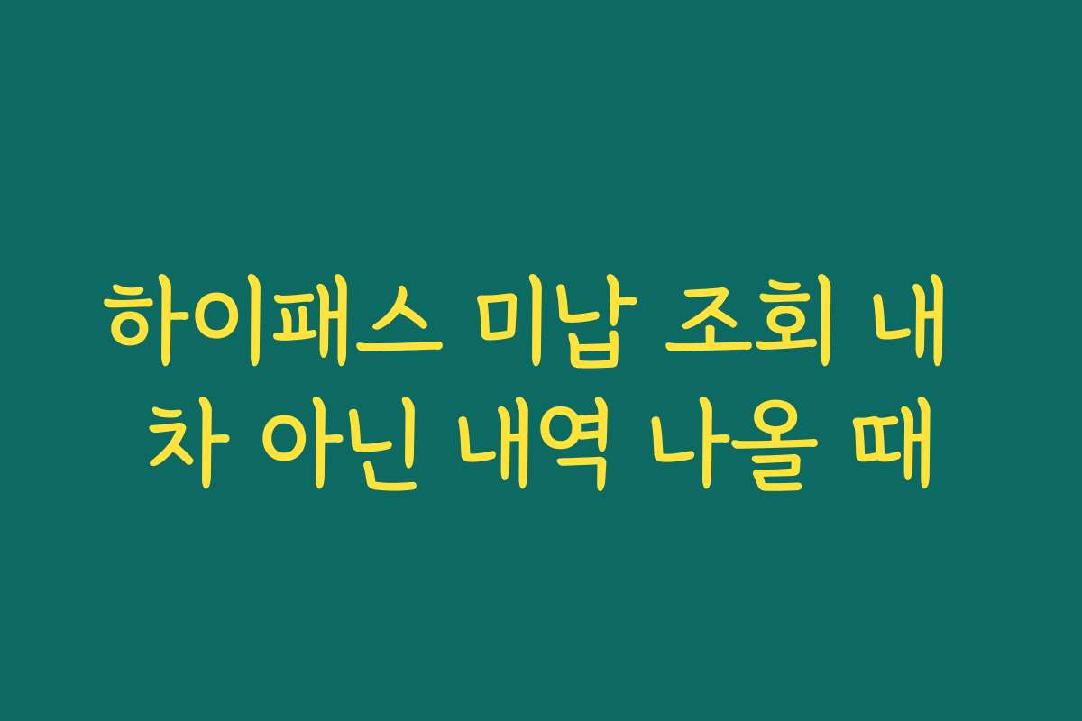하이패스 미납 조회 내 차 아닌 내역 나올 때