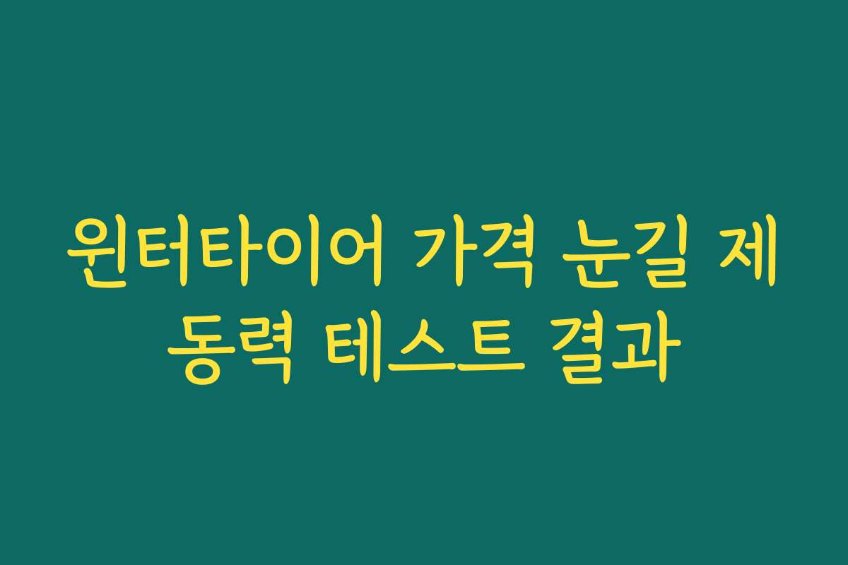 윈터타이어 가격 눈길 제동력 테스트 결과 윈터타이어 가격 눈길 제동력 테스트 결과