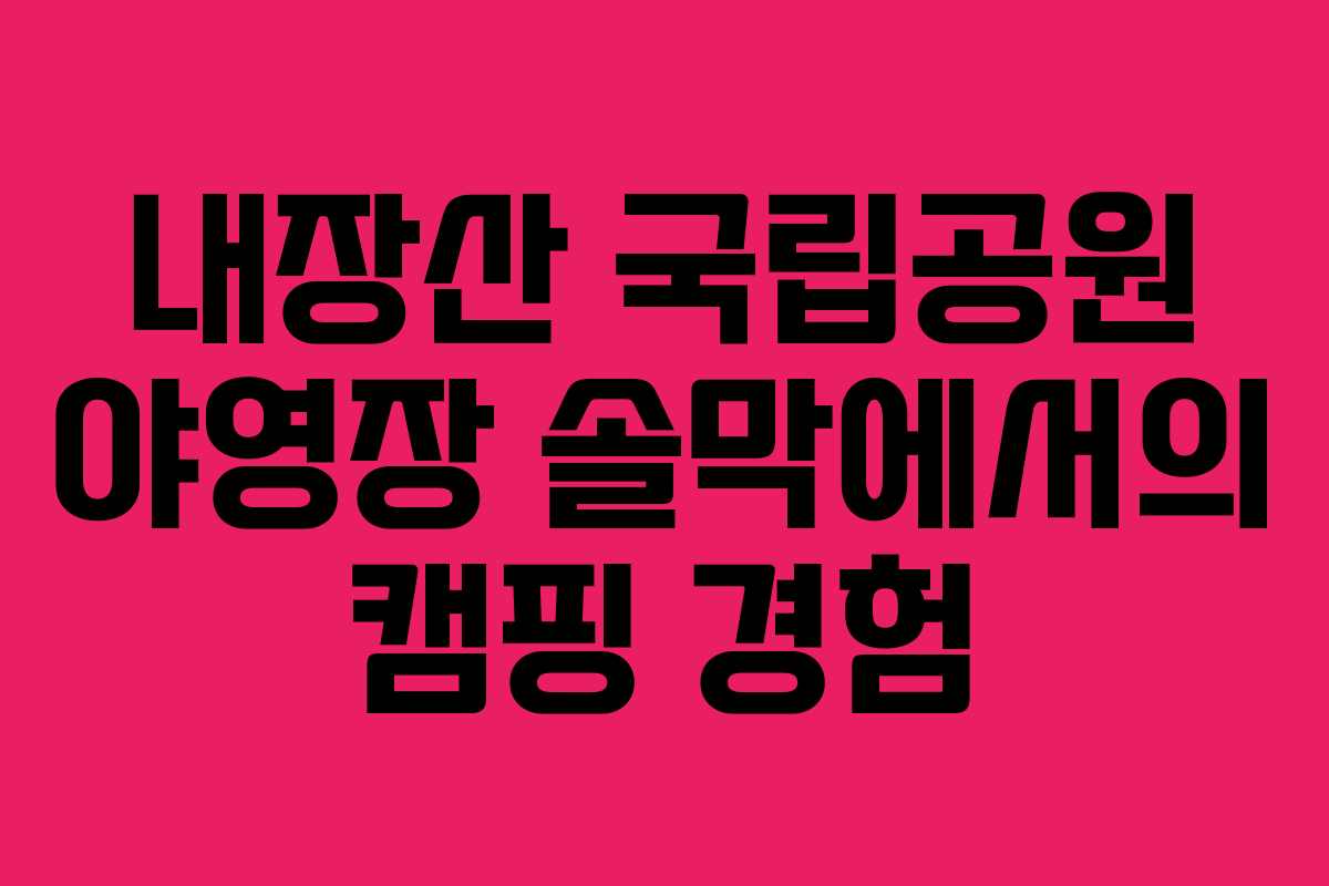 내장산 국립공원 야영장 솔막에서의 캠핑 경험 내장산 국립공원 야영장 솔막에서의 캠핑 경험