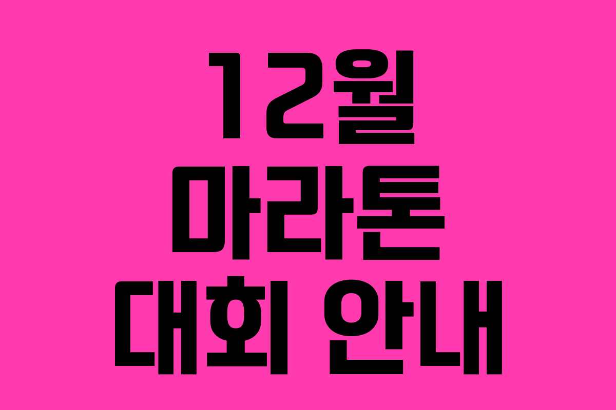 12월 마라톤 대회 안내 12월 마라톤 대회 안내