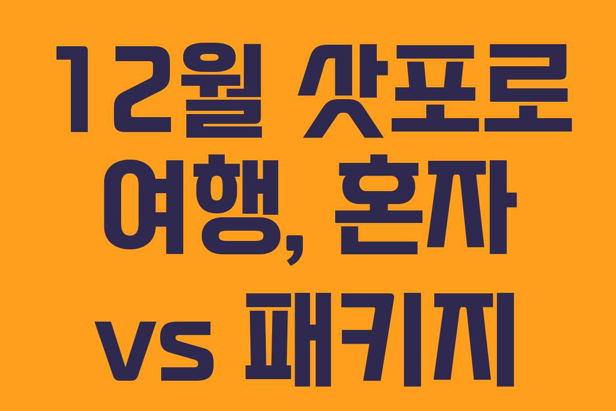 12월 삿포로 여행, 혼자 vs 패키지