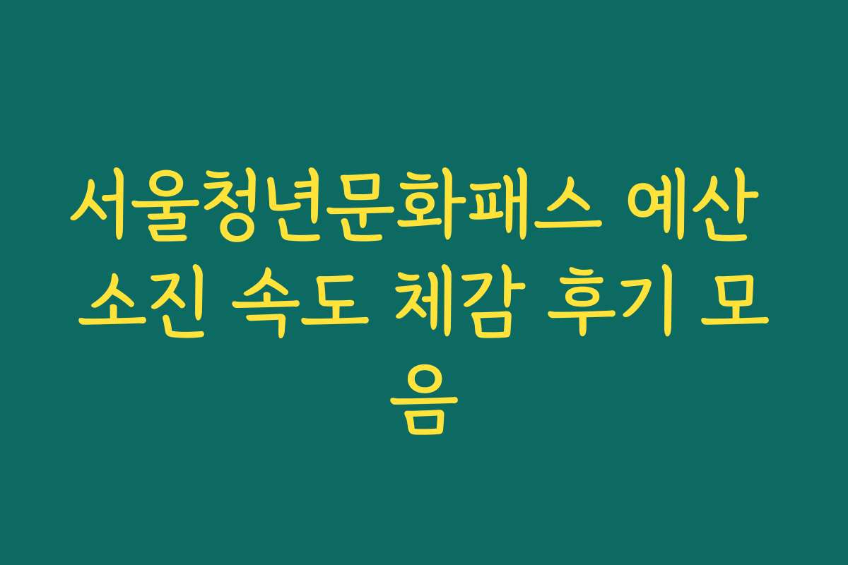 서울청년문화패스 예산 소진 속도 체감 후기 모음