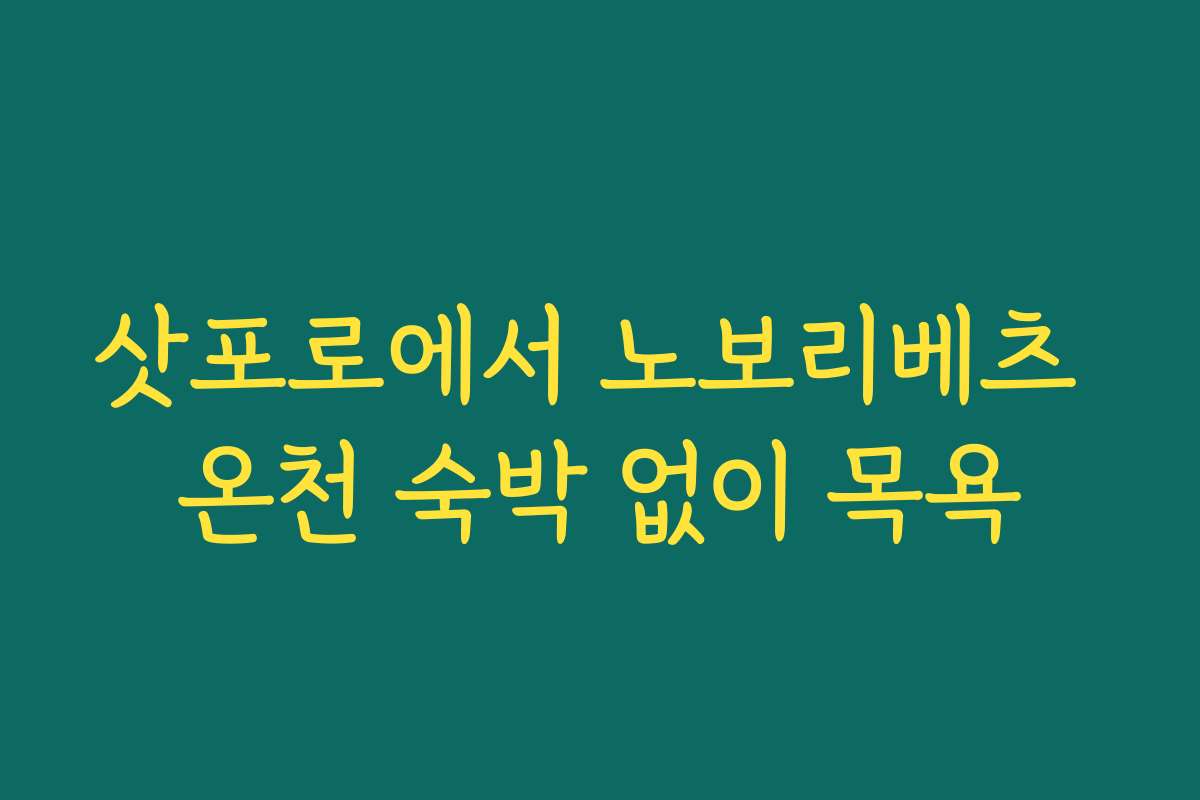 삿포로에서 노보리베츠 온천 숙박 없이 목욕