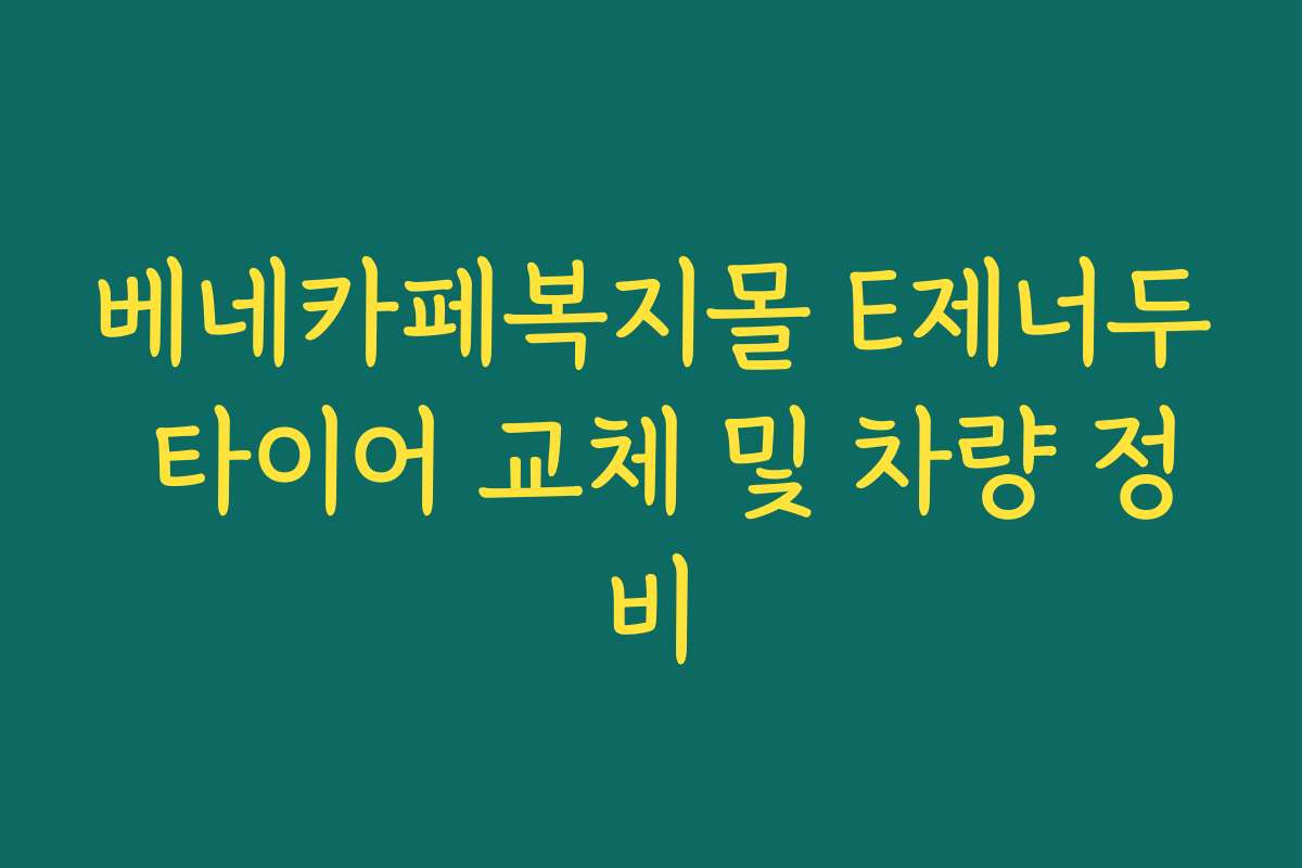베네카페복지몰 E제너두 타이어 교체 및 차량 정비
