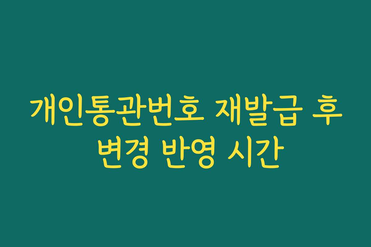 개인통관번호 재발급 후 변경 반영 시간 개인통관번호 재발급 후 변경 반영 시간