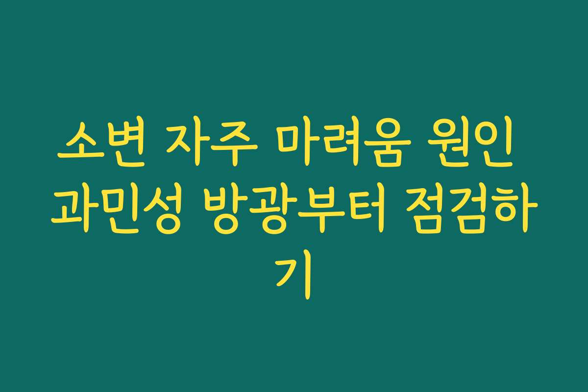 소변 자주 마려움 원인 과민성 방광부터 점검하기