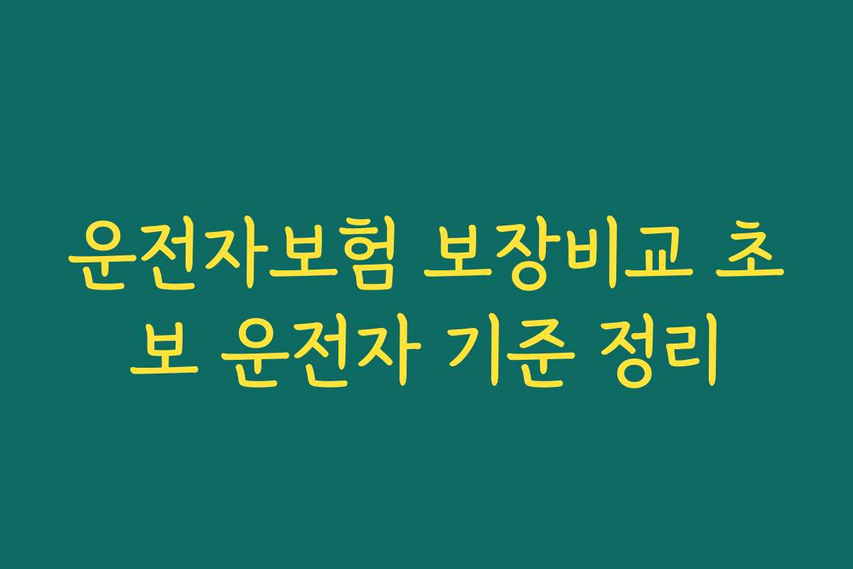 운전자보험 보장비교 초보 운전자 기준 정리