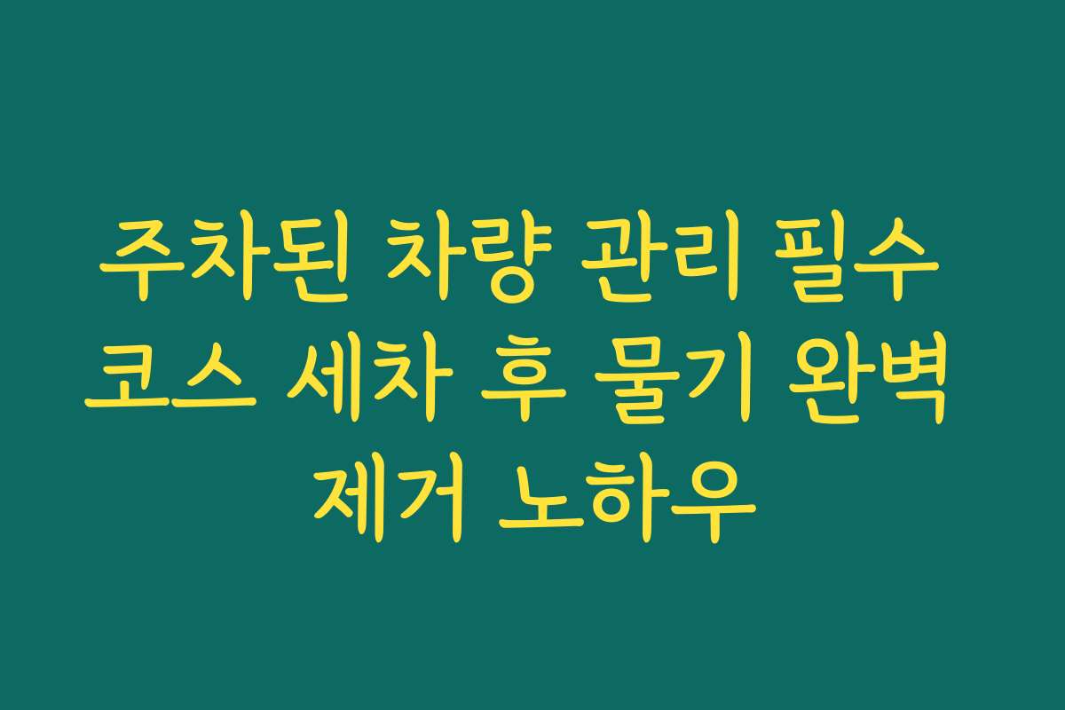 주차된 차량 관리 필수 코스 세차 후 물기 완벽 제거 노하우