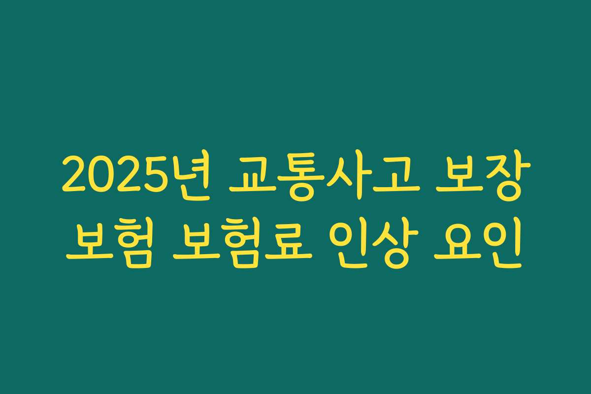 2025년 교통사고 보장보험 보험료 인상 요인